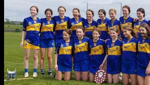 Good weekend for Tipperary underage camogie with two Munster titles won