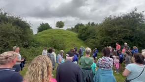 WATCH: Charles Bianconi was spotted out on a stroll in Boherlahan!