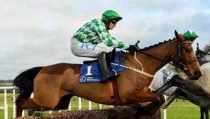 Tornado Flyer makes seasonal reappearance in Clonmel Oil Chase