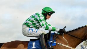 Cancelled horse racing meeting in Tipperary has been rescheduled for next Monday