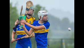 Tipperary play out stalemate with Wexford in U16 All Ireland championship