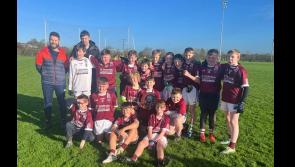 IN PICTURES: Great competition and fun at Cumann na mBunscol football finals