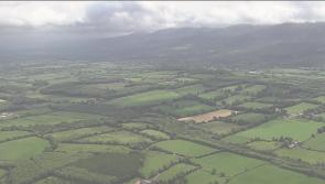 Horse racing in Tipperary contributes significantly to the rural economy