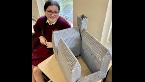 Check out these wonderful local history models created by students at the Presentation Thurles