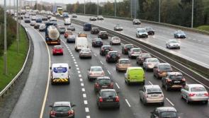 ALERT: Animals on motorways as gardaí issue All-Ireland final traffic advice 
