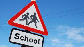 Council rejects call for school traffic warden outside county Tipperary primary school on busy N24