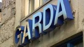 Gardaí investigate "blunt trauma" injury that caused sheep's death at a Tipperary cemetery