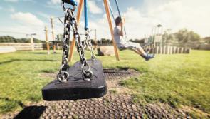 Rediscover the child in you - a Tipperary playground auction goes online this Bank Holiday Monday