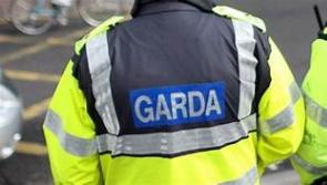 Gardaí release figures for drivers speeding on National Slow Down Day