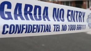 Investigation launched following discovery of body in Limerick