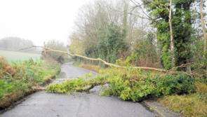 Met Éireann warns motorists of possible downed trees as Status Yellow wind alert issued