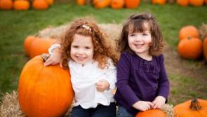€100 top prize for the best Pumpkin in Tipperary on Sunday next