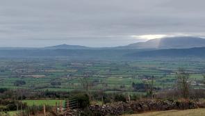 Festival based event planned for Tipperary to mark Monster Meeting on Slievenamon