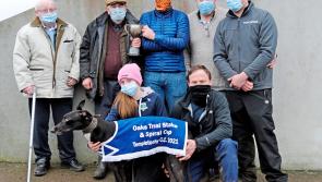 Templetuohy coursing was a great success