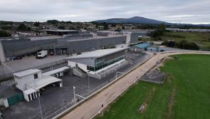 Editorial: Huge boost for the Tipperary greyhound industry