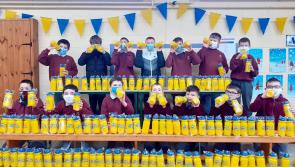 Nenagh CBS primary students rewarded for their ‘involvement and inventiveness’ 