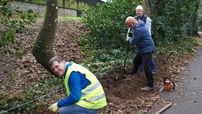 Tipperary Tidy Towns volunteers hoping their cloud has a 'silver' lining in 2022