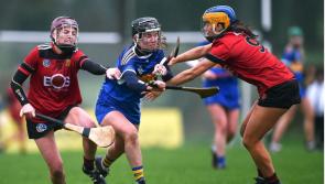 All too easy for Tipperary as they dispatch Down in opening round of the Camogie League
