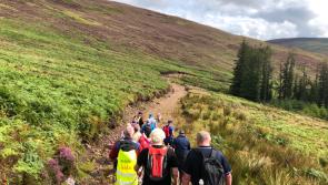 Find out how to sign up for guided walks of St Declan's Way from Cashel to Ardmore 