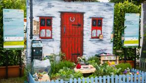 Tipperary gardeners urged to send postcards from the hedge to Bloom 2022