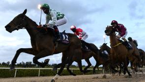 RACING: Top tips and analysis for Wednesday’s card at Dundalk