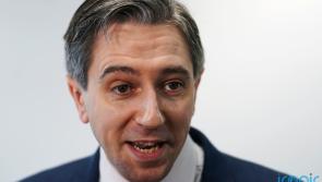 Sinn Féin's willingness to appoint advisors with criminal convictions 'astonishing' - says Harris 