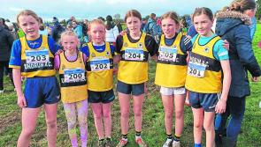 Dundrum Athletics club - news and fixtures 