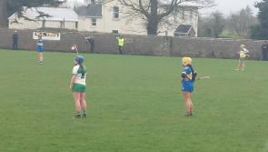 Barnstorming first half paves way for easy Tipperary win over Offaly