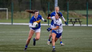 Late Laois surge sinks Tipperary