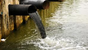 Tipperary rivers  under threat from pollution