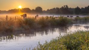 Tipperary Co-op high on EPA wastewater list
