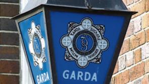 Gardaí report rise in catalytic converter thefts in Clonmel area