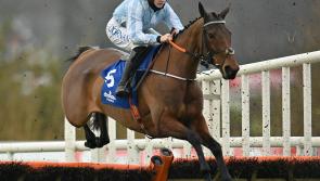 Nearly half of all punters bet on Rachael Blackmore in 2021