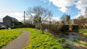 Medieval discovery in Fethard