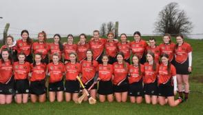 Colaiste Phobal Roscrea lose out narrrowly in All Ireland final