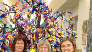 Clonmel based women's refuge launches campaign to end domestic violence