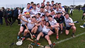 Three Tipperary men named in Fitzgibbon Cup Team of the Year