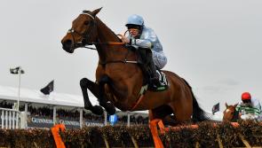 'I’m so lucky to be riding winners here and on this mare' - Rachael Blackmore