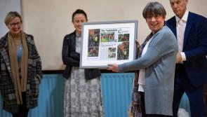 Wildflower buzz at Clonmel primary school