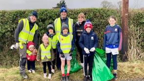 More than 110 Tipperary groups sign up for National Spring Clean
