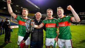 Loughmore GAA to be honoured with civic reception this Thursday