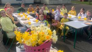 Pupils and staff from Castleiney NS raise funds for Daffodil Day