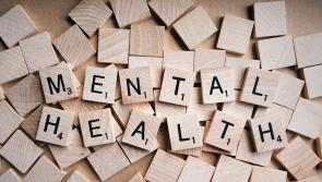 Tipperary resource centre to support mental health campaign