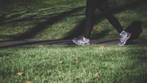 Popular Thurles walk closed for works