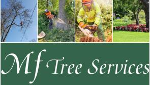 Shed some light on your garden's potential by MF Tree Services
