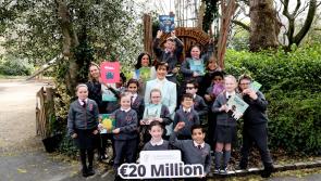 School libraries in Ireland to receive €20million for 'highest quality' books