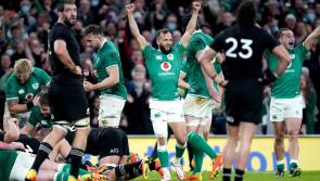 Ireland announce Tests against All Blacks this summer