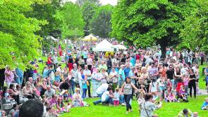 Clonmel Busking Festival chairman appeals at Tipperary County Council meeting for more funding 