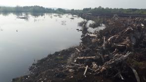 Turf cutting family laments bog standard treatment on the part of Bórd na Móna 
