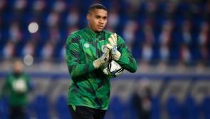 Ireland goalkeeper Gavin Bazunu linked with transfer to Toffees